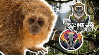 サンマルティンティティ ｜動物ドキュメンタリー