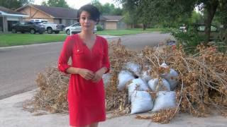 Trash Dumping