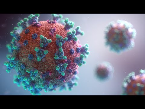The Impact of the COVID-19 Pandemic on the Supply Chain: Challenges and Opportunities