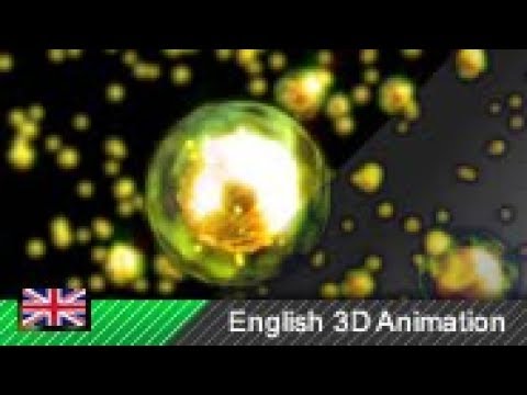 Nuclear Fission (Animation)