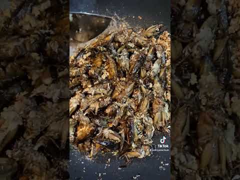 So delicious crickets