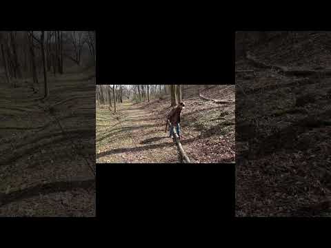 A couple fun videos out together!
