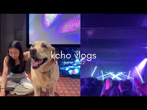 days of june | Kcho Vlogs