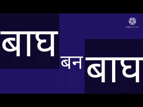 |बाघ बन बाघ| प्रेरणा #Motivetion